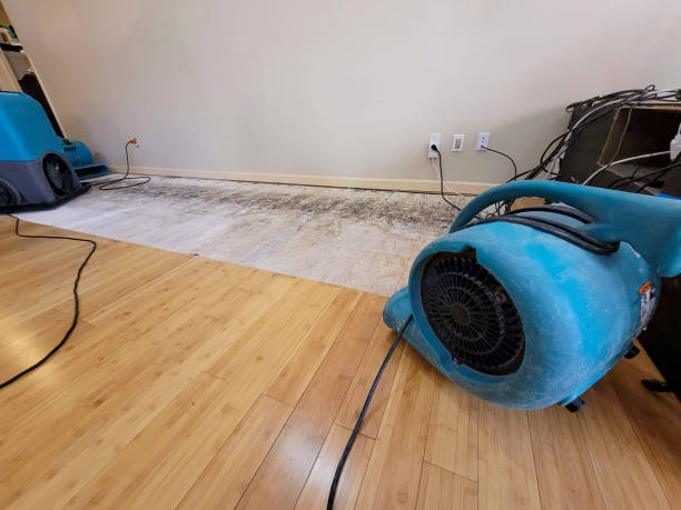 Professional Water Damage Repair technician working in Edgecomb, ME